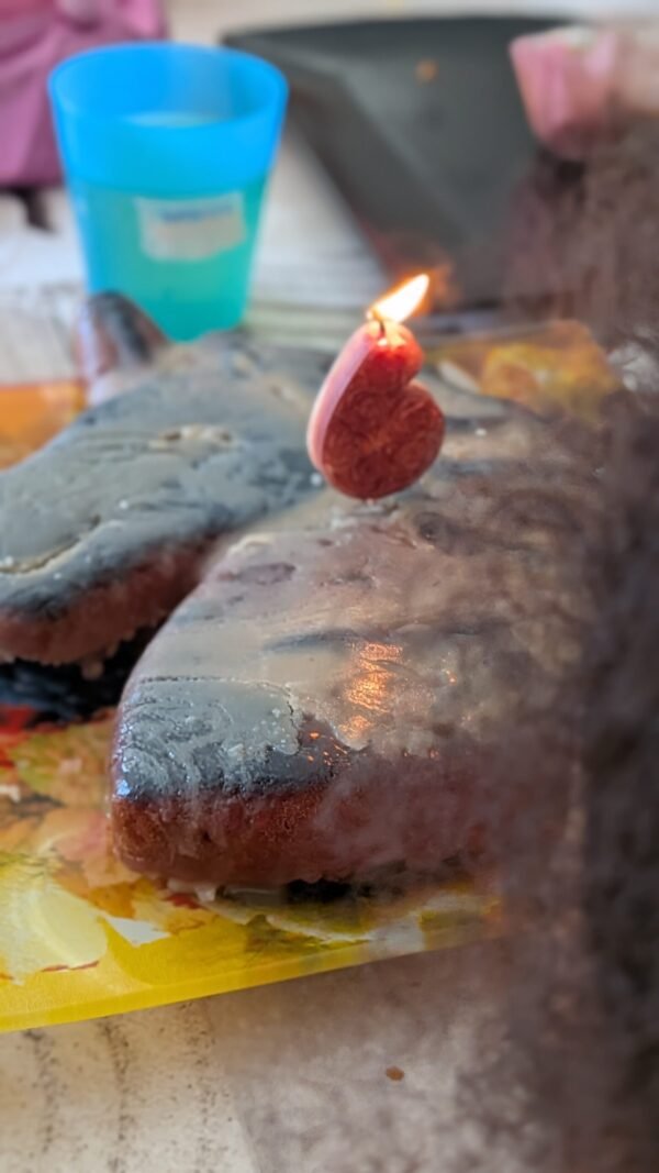 Chiffres en fleurs - Colza sur le Gâteau – Image 10